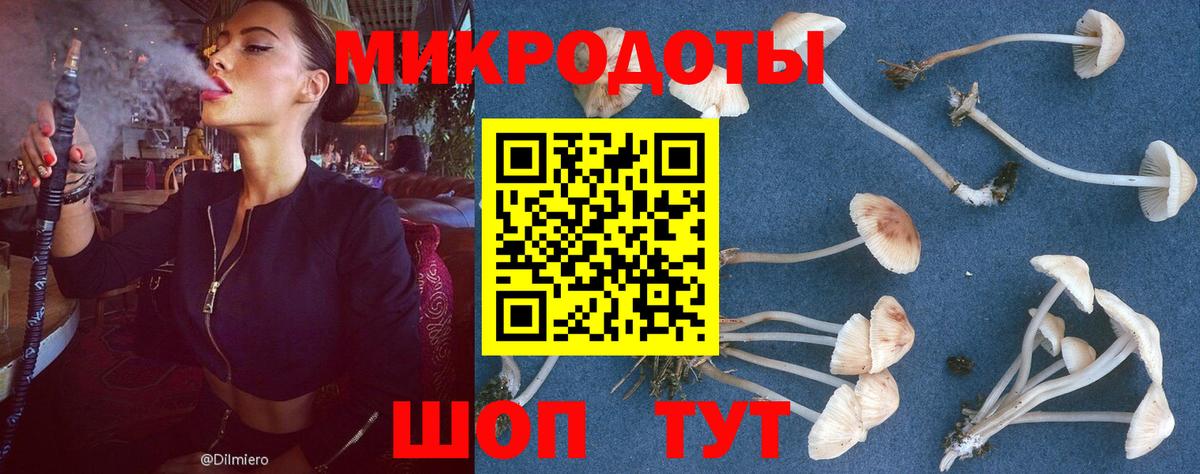 Галлюциногенные грибы Cubensis  Галлюциногенные грибы ЛСД  Кострома  Вход с VPN 
